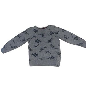 Carter's Big Boys' Fleece Lined Printed Pullover Top 5t